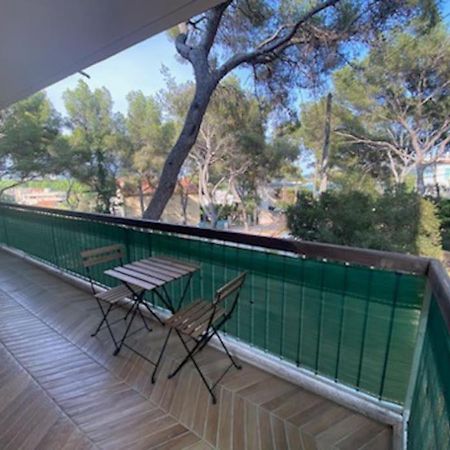לה סיין סור-מר T2 Avec Clim Et Terrasse Vue Mer, Les Sablettes מראה חיצוני תמונה